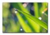 0495Macro sm
