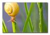 0510Macro sm